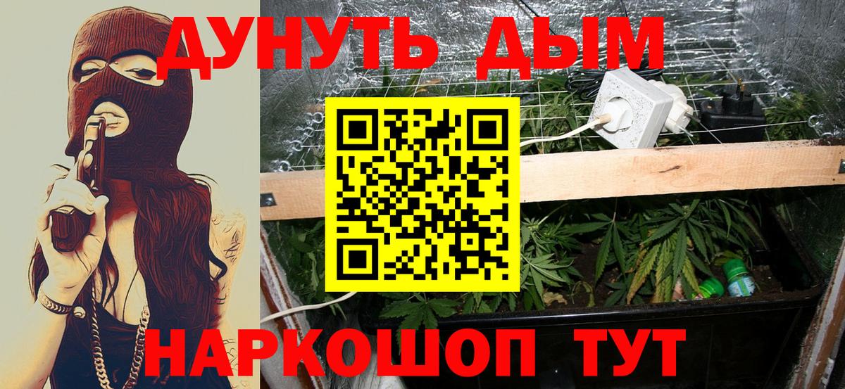 Канабис SATIVA & INDICA  Каннабис VHQ  Каннабис сатива  Ялта  Вход с VPN 