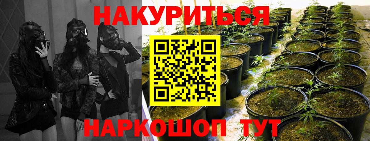 Шишки марихуана White Widow Ялта